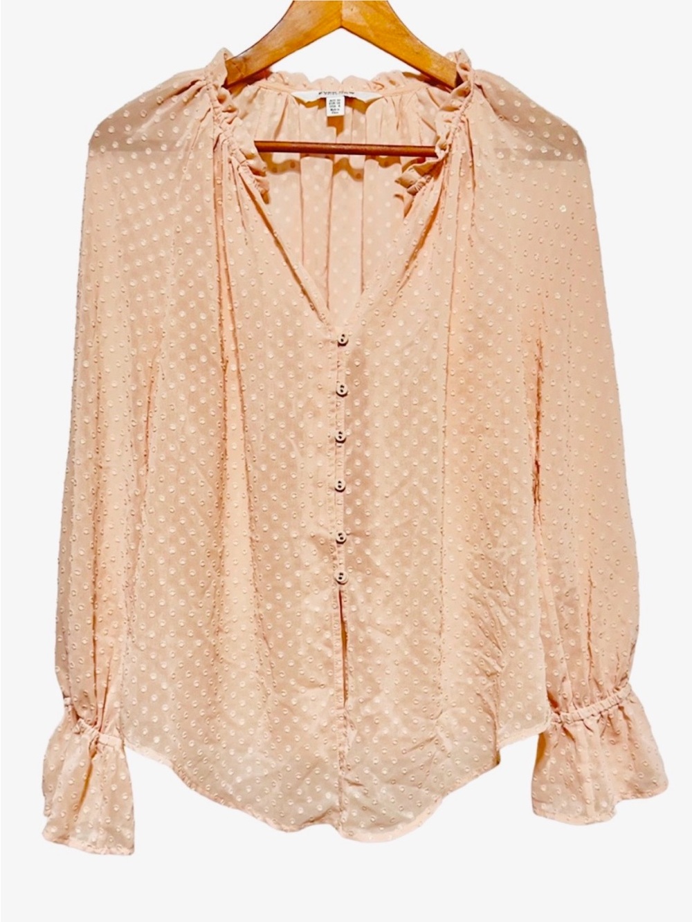 Ever New Blush Pink Swiss Dot Blouse Metallic Gold Ruffle Coquette Romantic 6
